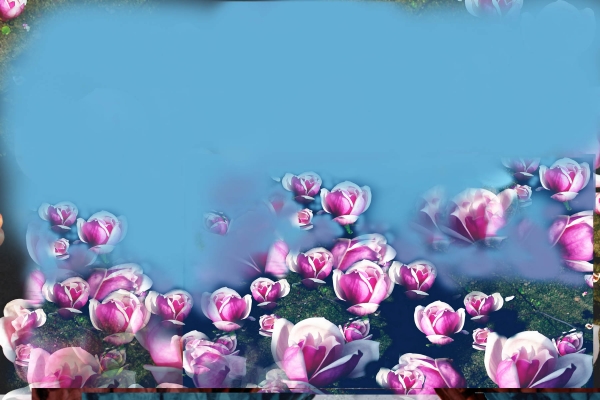Creation of Of Teardrops & Raindrops : Step 6